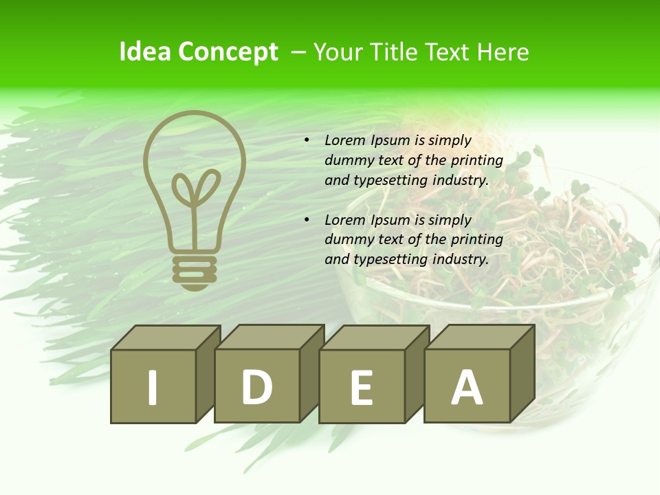 A Bowl Of Sprouts And A Bowl Of Sprouts On A White PowerPoint Template