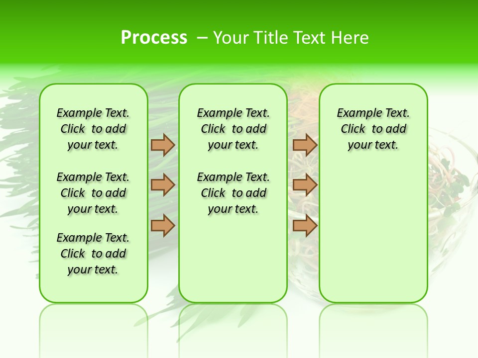 A Bowl Of Sprouts And A Bowl Of Sprouts On A White PowerPoint Template