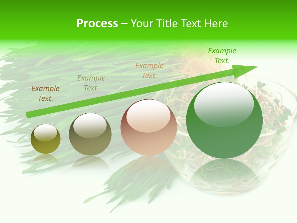 A Bowl Of Sprouts And A Bowl Of Sprouts On A White PowerPoint Template