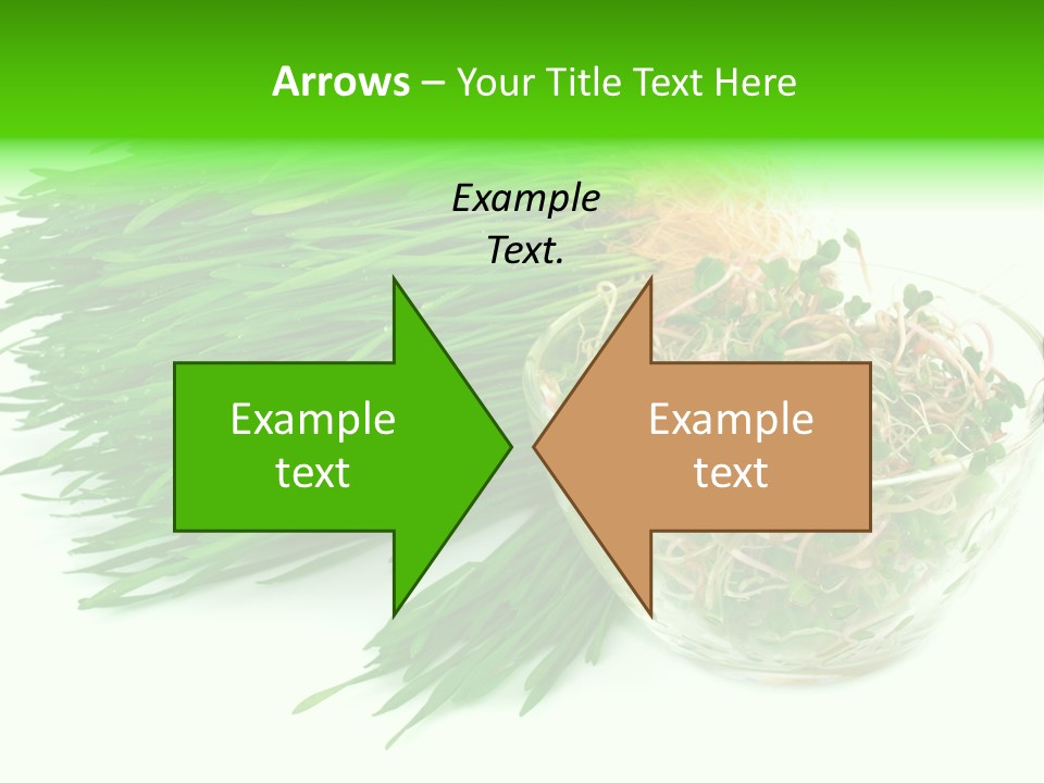 A Bowl Of Sprouts And A Bowl Of Sprouts On A White PowerPoint Template