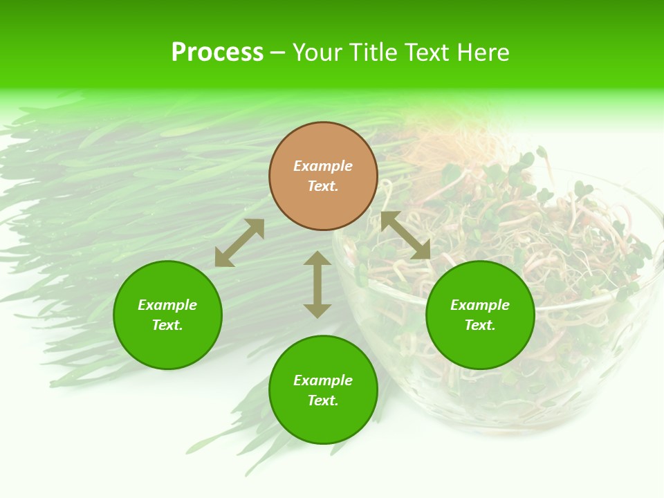 A Bowl Of Sprouts And A Bowl Of Sprouts On A White PowerPoint Template