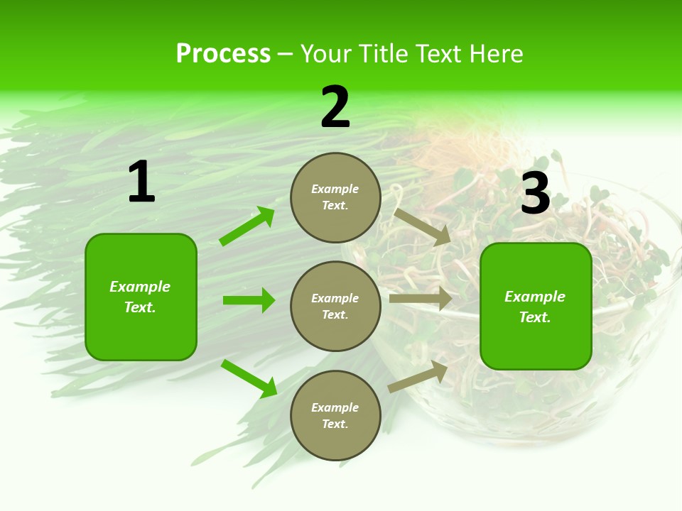 A Bowl Of Sprouts And A Bowl Of Sprouts On A White PowerPoint Template
