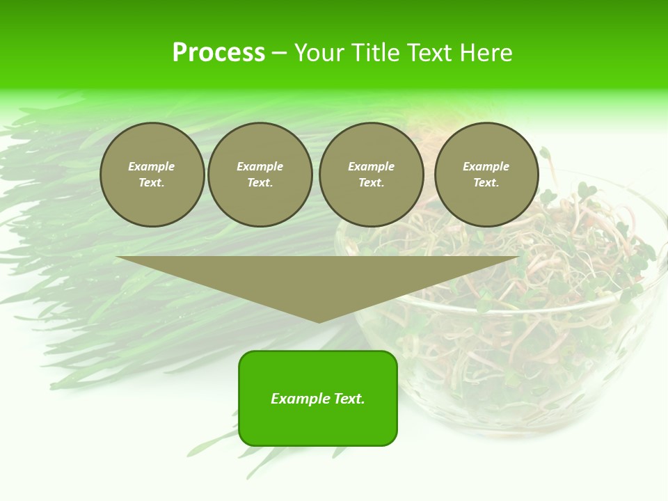 A Bowl Of Sprouts And A Bowl Of Sprouts On A White PowerPoint Template