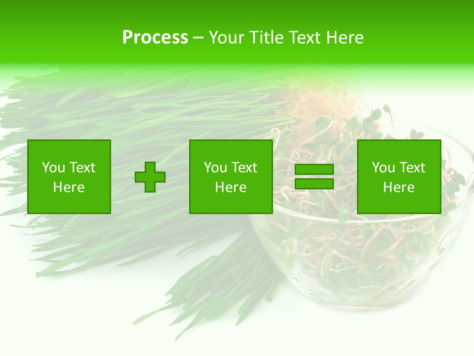 A Bowl Of Sprouts And A Bowl Of Sprouts On A White PowerPoint Template