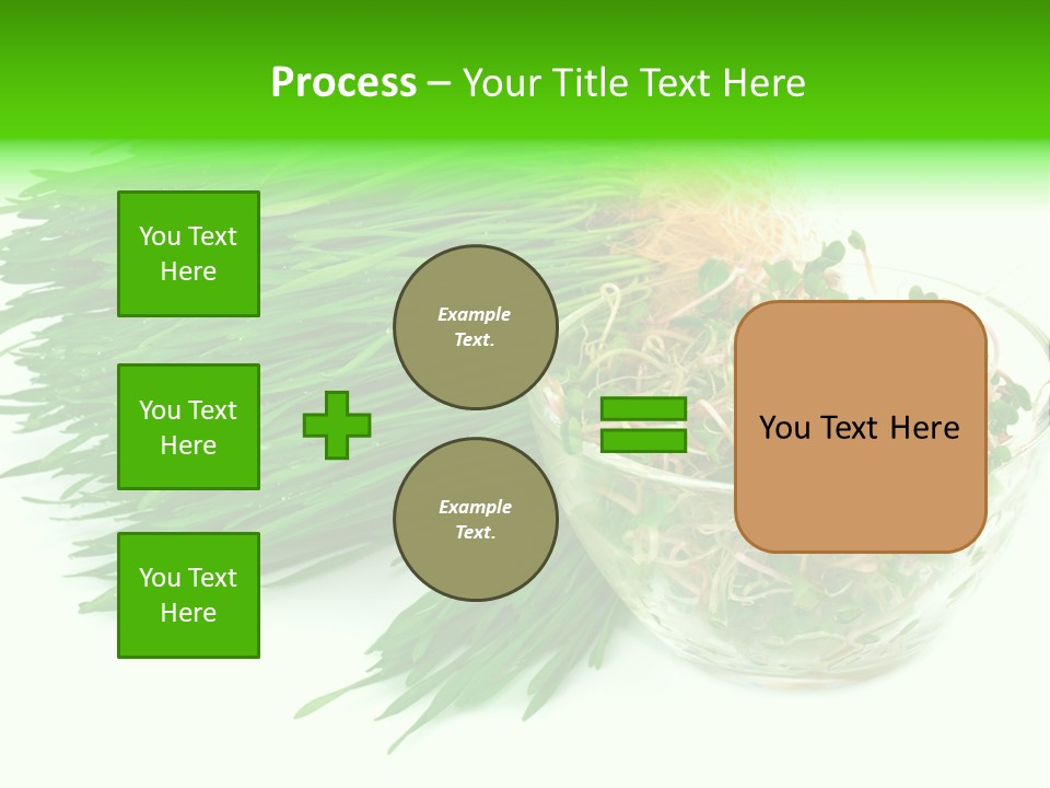 A Bowl Of Sprouts And A Bowl Of Sprouts On A White PowerPoint Template
