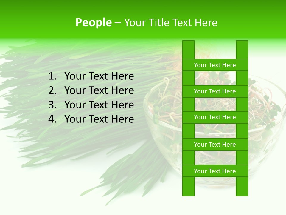 A Bowl Of Sprouts And A Bowl Of Sprouts On A White PowerPoint Template