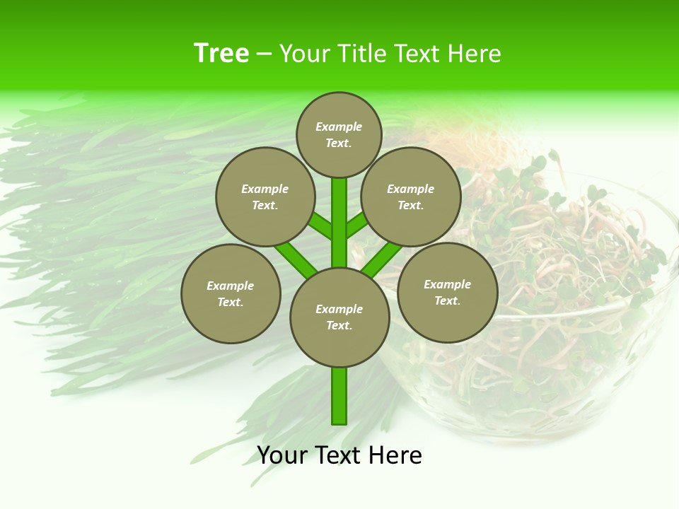 A Bowl Of Sprouts And A Bowl Of Sprouts On A White PowerPoint Template