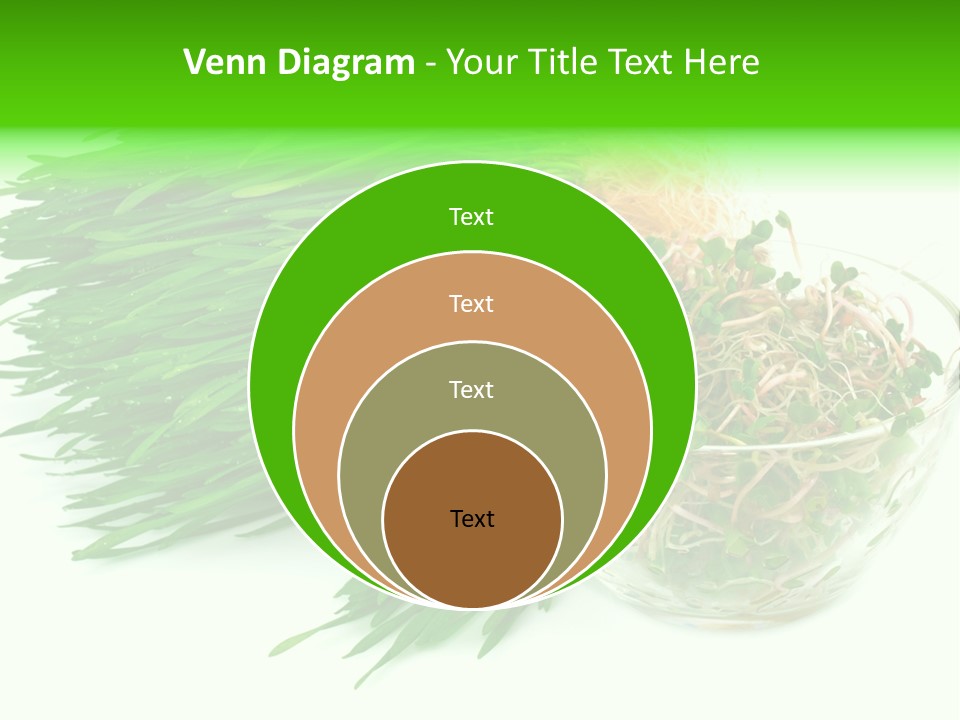 A Bowl Of Sprouts And A Bowl Of Sprouts On A White PowerPoint Template