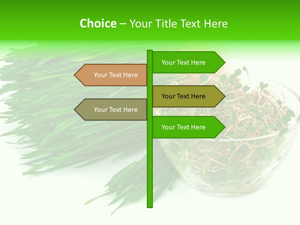 A Bowl Of Sprouts And A Bowl Of Sprouts On A White PowerPoint Template