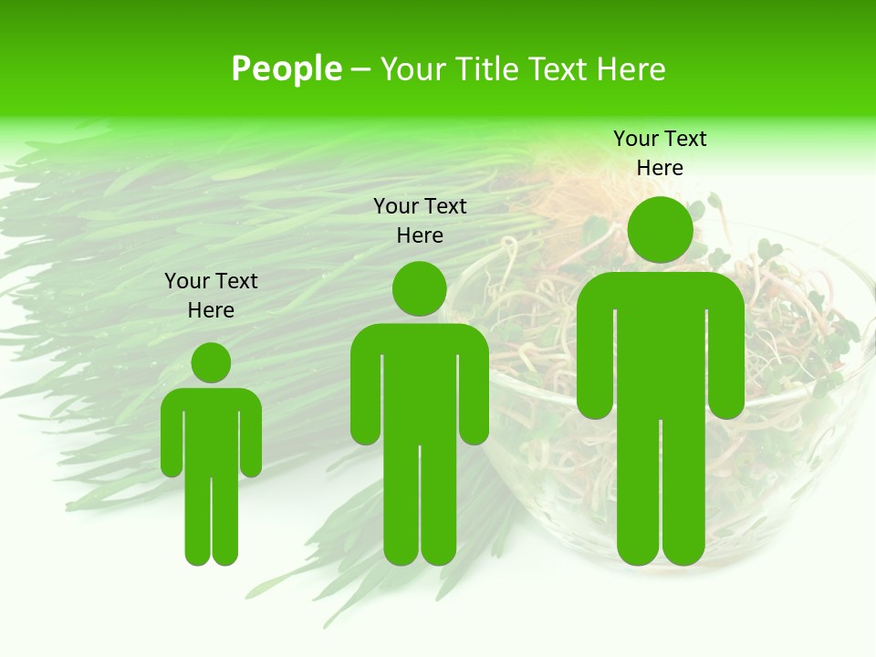 A Bowl Of Sprouts And A Bowl Of Sprouts On A White PowerPoint Template