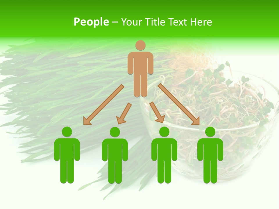 A Bowl Of Sprouts And A Bowl Of Sprouts On A White PowerPoint Template