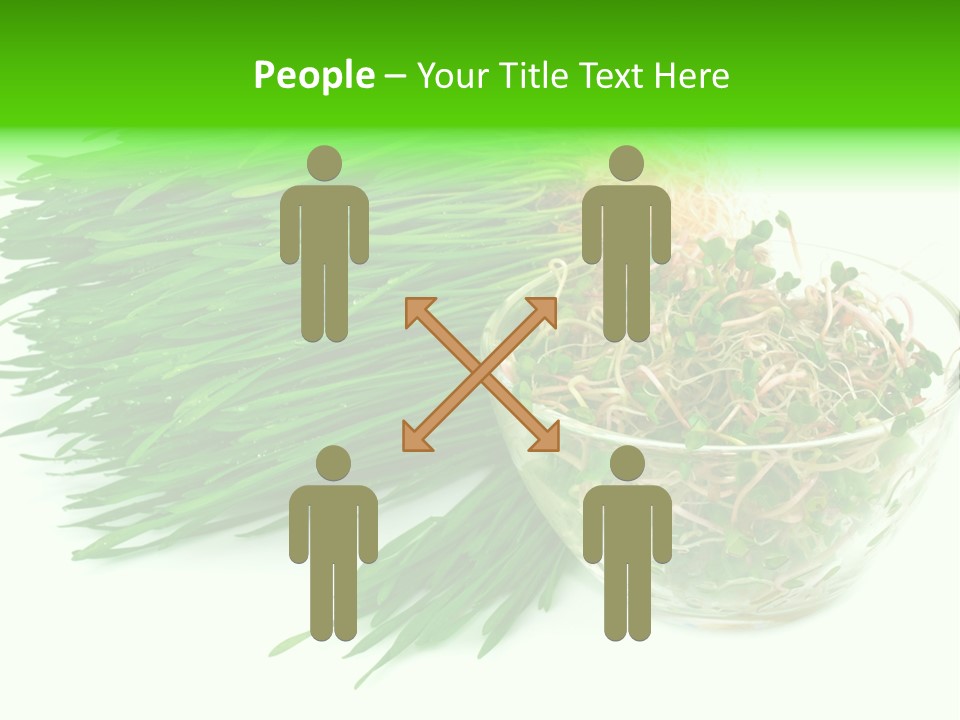 A Bowl Of Sprouts And A Bowl Of Sprouts On A White PowerPoint Template