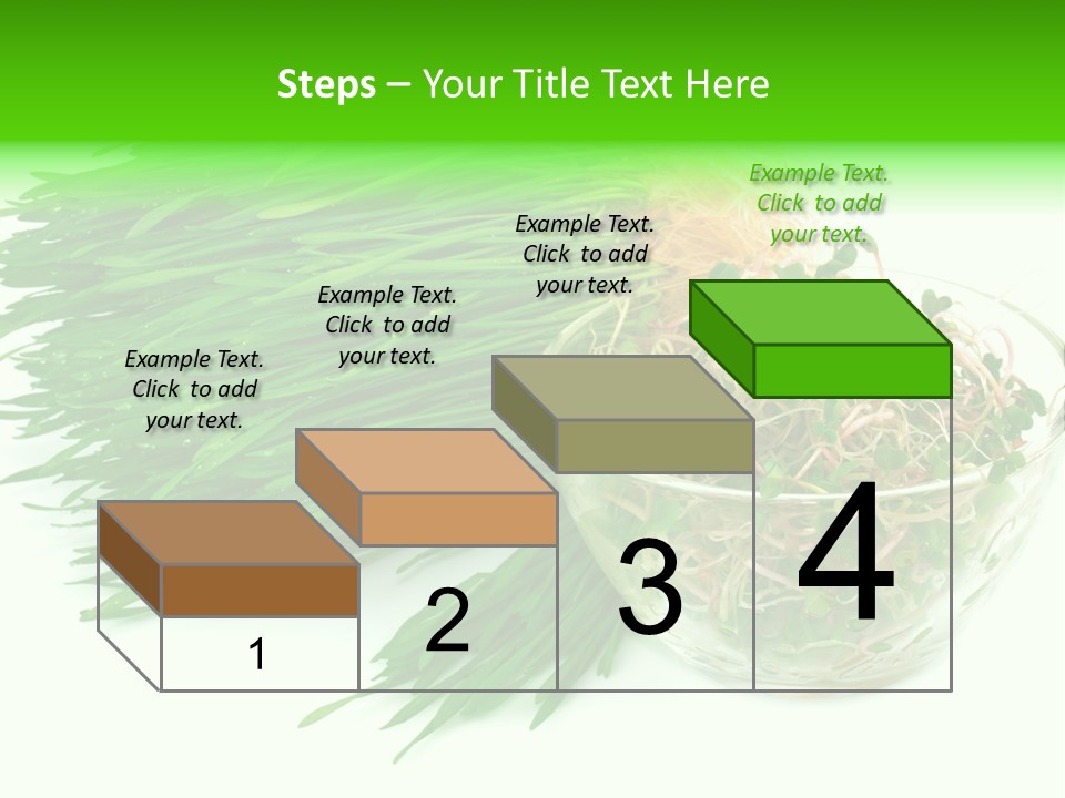 A Bowl Of Sprouts And A Bowl Of Sprouts On A White PowerPoint Template