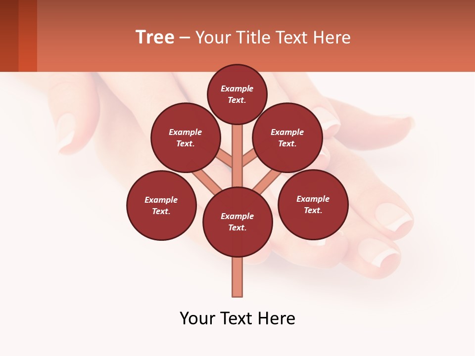 A Woman's Hands With French Manies On Them PowerPoint Template