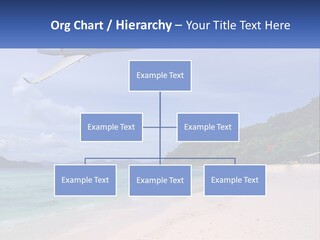 A Plane Is Flying Over A Beach With Clear Water PowerPoint Template