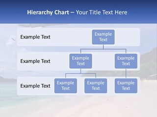 A Plane Is Flying Over A Beach With Clear Water PowerPoint Template