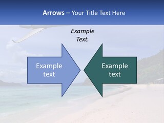 A Plane Is Flying Over A Beach With Clear Water PowerPoint Template
