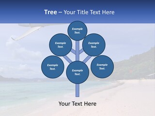 A Plane Is Flying Over A Beach With Clear Water PowerPoint Template