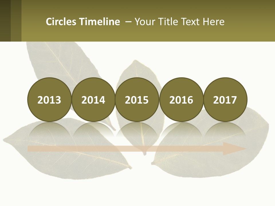 A Green Leaf Powerpoint Presentation Is Shown PowerPoint Template