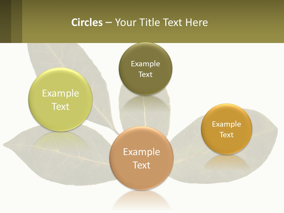 A Green Leaf Powerpoint Presentation Is Shown PowerPoint Template