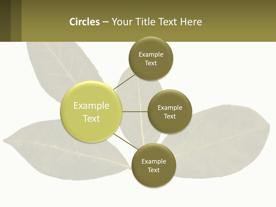 A Green Leaf Powerpoint Presentation Is Shown PowerPoint Template