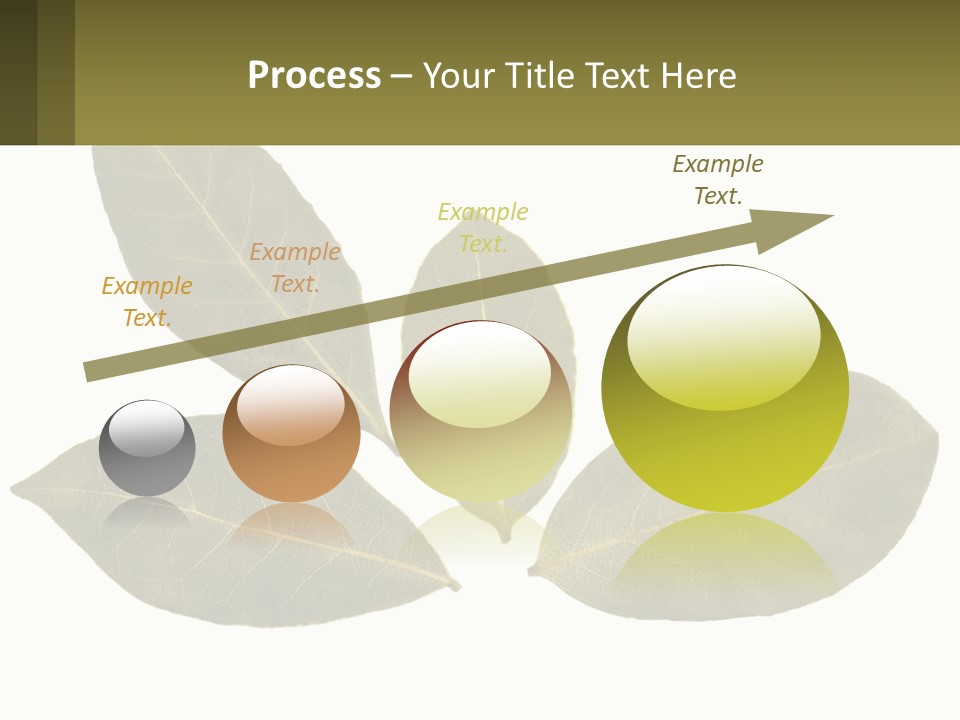 A Green Leaf Powerpoint Presentation Is Shown PowerPoint Template