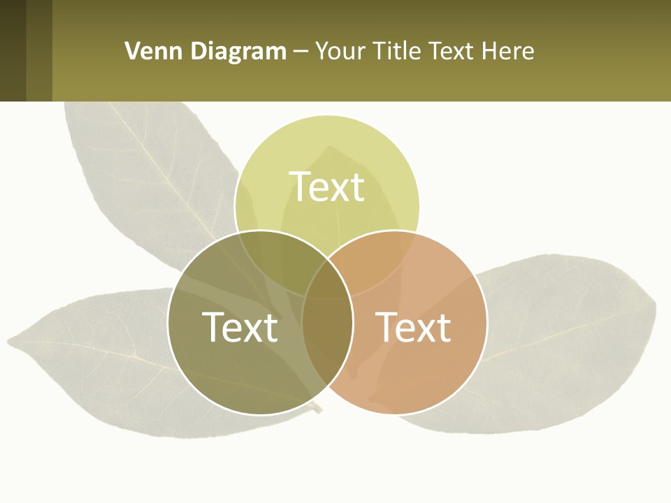 A Green Leaf Powerpoint Presentation Is Shown PowerPoint Template