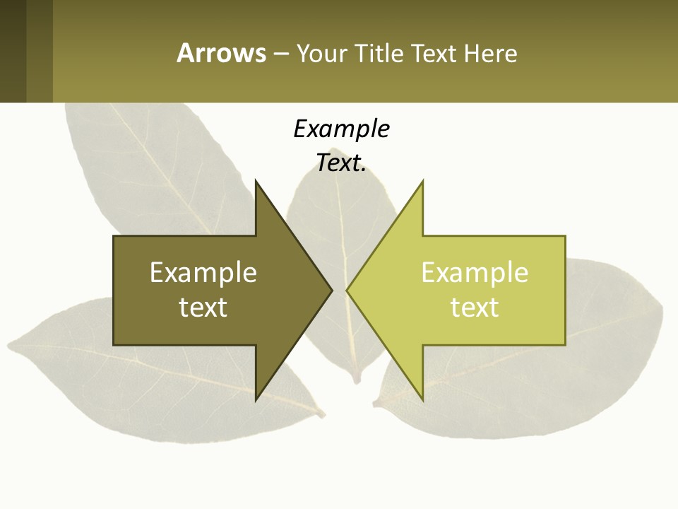 A Green Leaf Powerpoint Presentation Is Shown PowerPoint Template