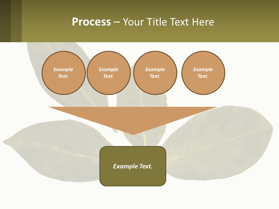 A Green Leaf Powerpoint Presentation Is Shown PowerPoint Template