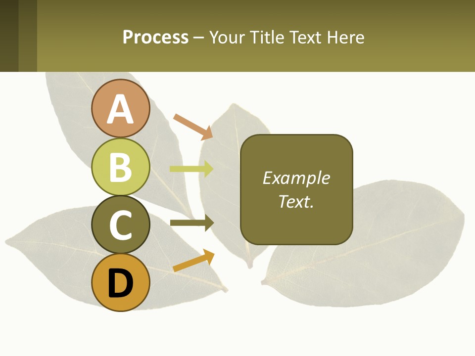 A Green Leaf Powerpoint Presentation Is Shown PowerPoint Template
