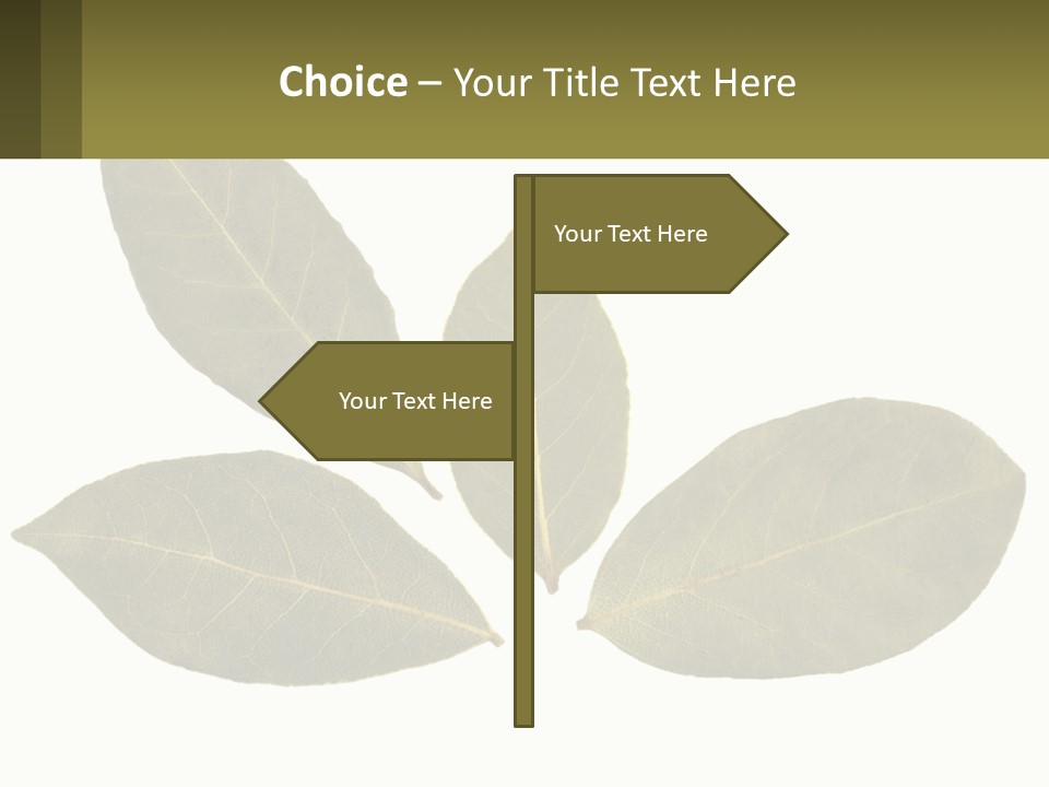 A Green Leaf Powerpoint Presentation Is Shown PowerPoint Template