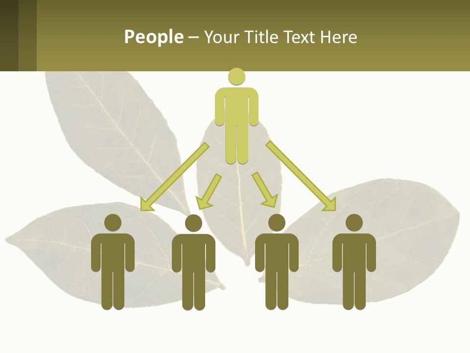 A Green Leaf Powerpoint Presentation Is Shown PowerPoint Template