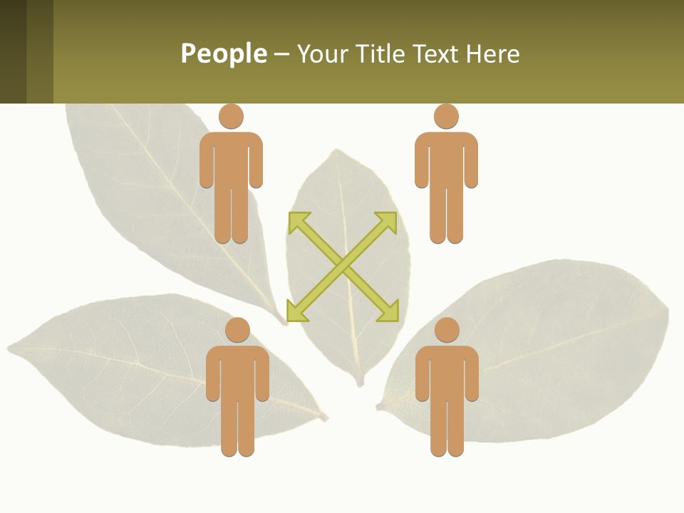 A Green Leaf Powerpoint Presentation Is Shown PowerPoint Template