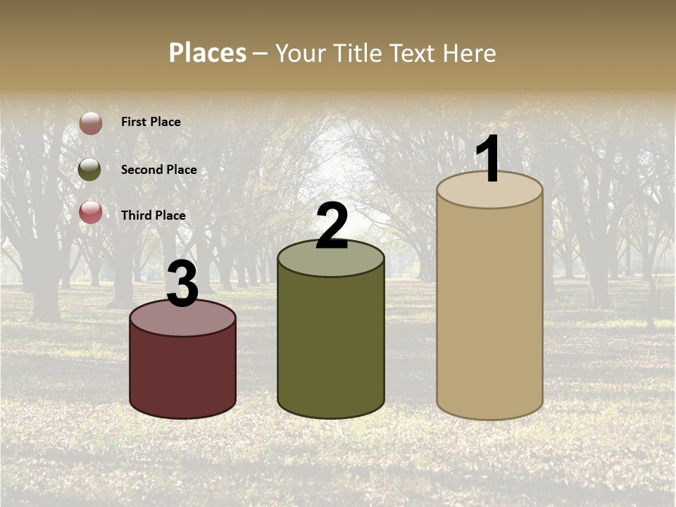 A Park Filled With Lots Of Trees Covered In Leaves PowerPoint Template