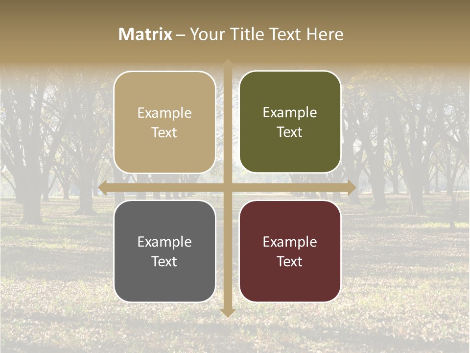 A Park Filled With Lots Of Trees Covered In Leaves PowerPoint Template