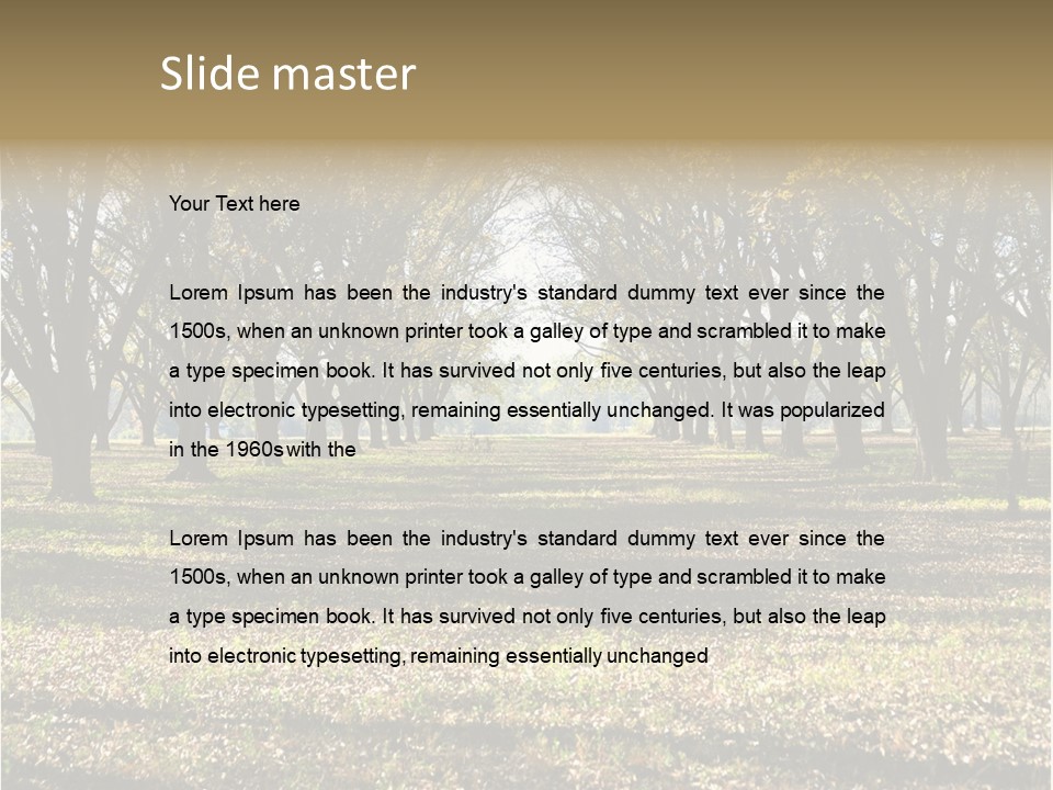 A Park Filled With Lots Of Trees Covered In Leaves PowerPoint Template