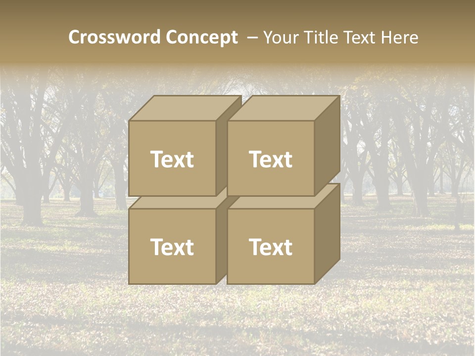 A Park Filled With Lots Of Trees Covered In Leaves PowerPoint Template