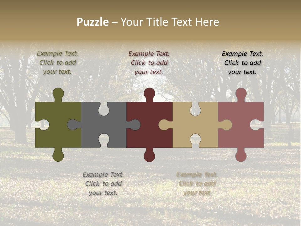 A Park Filled With Lots Of Trees Covered In Leaves PowerPoint Template