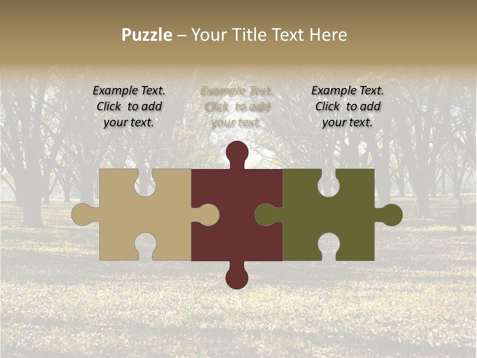 A Park Filled With Lots Of Trees Covered In Leaves PowerPoint Template