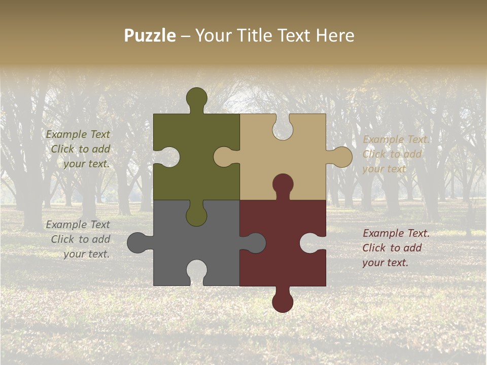 A Park Filled With Lots Of Trees Covered In Leaves PowerPoint Template