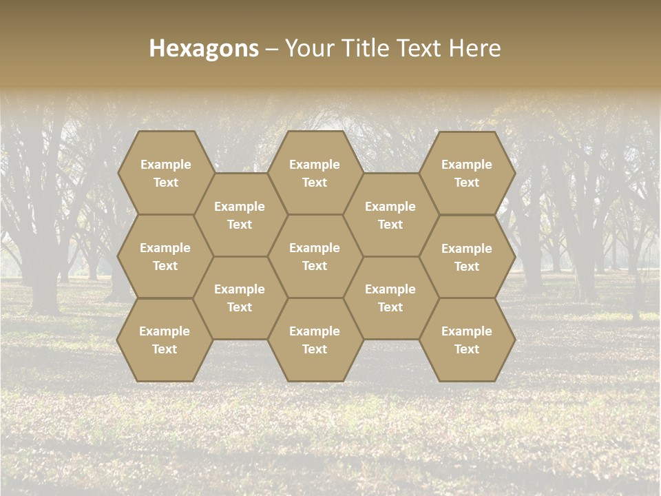 A Park Filled With Lots Of Trees Covered In Leaves PowerPoint Template