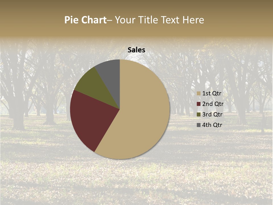 A Park Filled With Lots Of Trees Covered In Leaves PowerPoint Template