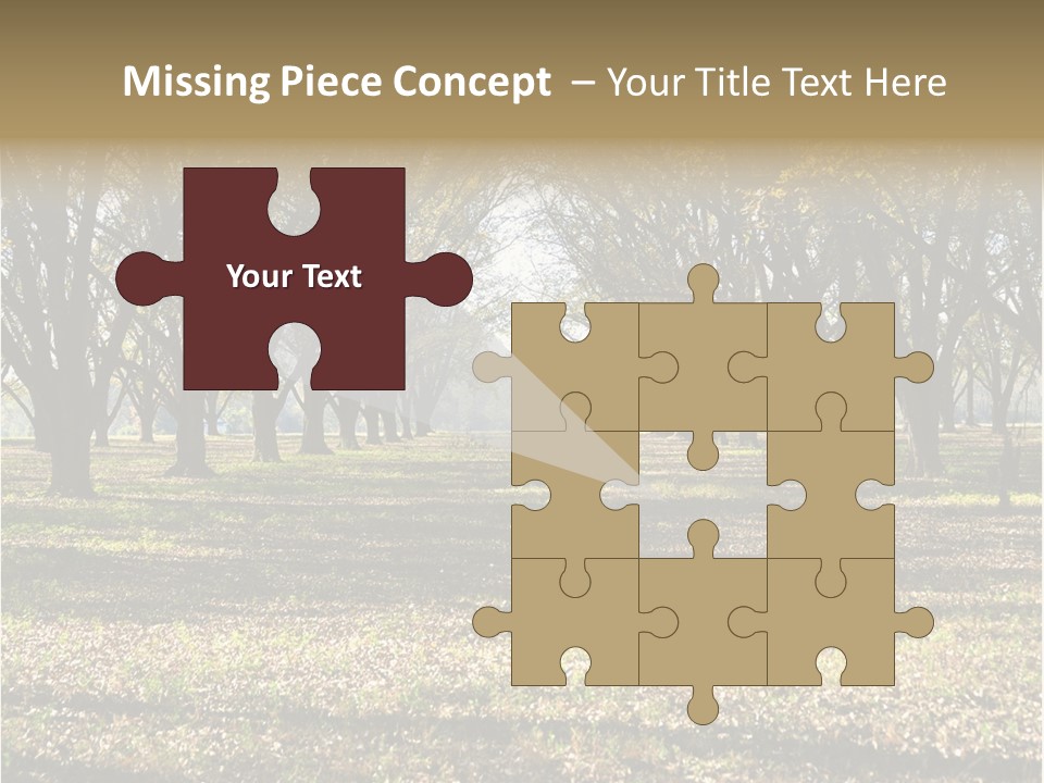 A Park Filled With Lots Of Trees Covered In Leaves PowerPoint Template