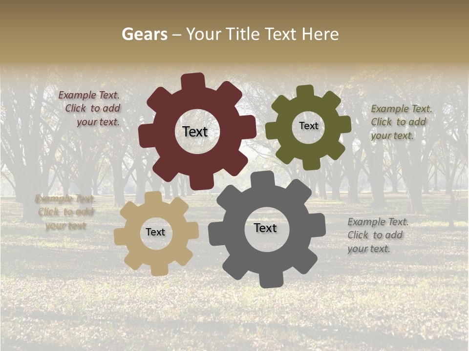 A Park Filled With Lots Of Trees Covered In Leaves PowerPoint Template