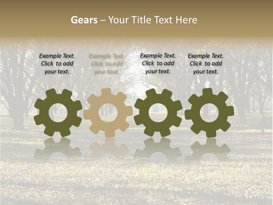 A Park Filled With Lots Of Trees Covered In Leaves PowerPoint Template