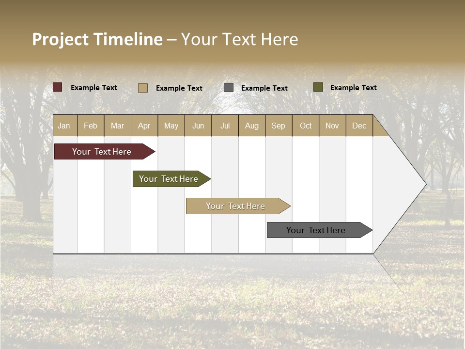 A Park Filled With Lots Of Trees Covered In Leaves PowerPoint Template