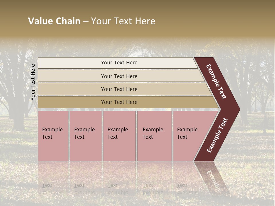 A Park Filled With Lots Of Trees Covered In Leaves PowerPoint Template