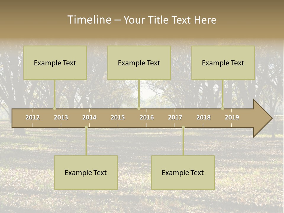 A Park Filled With Lots Of Trees Covered In Leaves PowerPoint Template
