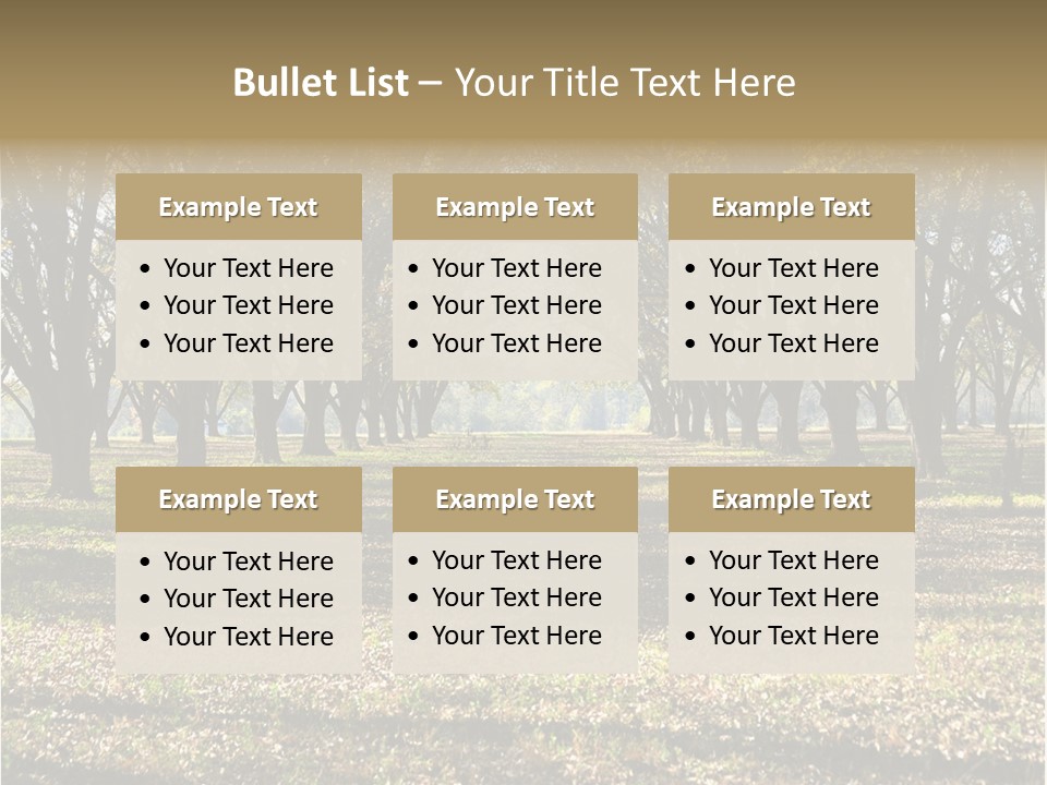 A Park Filled With Lots Of Trees Covered In Leaves PowerPoint Template