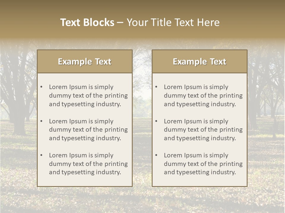 A Park Filled With Lots Of Trees Covered In Leaves PowerPoint Template
